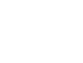 SelfAudit